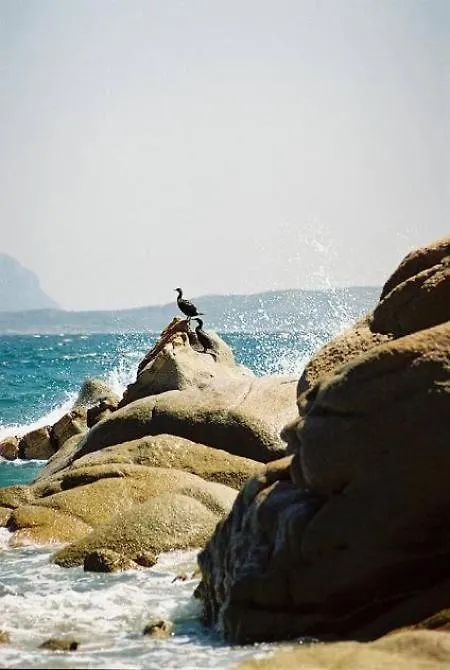 アパート Guest House Safigumoru 5 Minuti In Spiaggia バリ・サルド